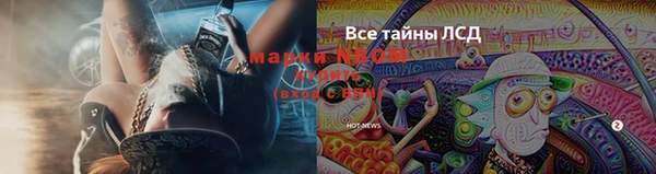 СК Кинешма