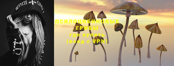 2c-b Коряжма